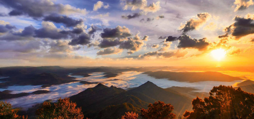 广东绿境园林景观工程有限公司轮播图2